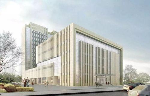 背景最牛的大学,背景最牛大学生的传奇之路