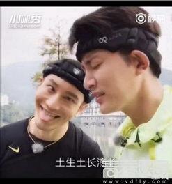 贾乃亮配音搞笑视频,笑料百出，欢乐无限